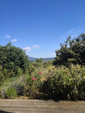 Villa Spacieuse Avec Terrasse Et Vue Mont Ventoux Entrechaux ภายนอก รูปภาพ